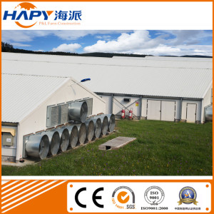 Customized Steel Structure Poultry House